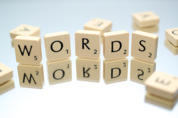 A photo of Scrabble letters spelling WORDS