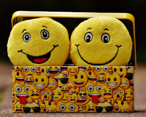 Image of a lunchbox covered in smiley faces, lid open, with two happy-face disk-shaped plushies popping out.