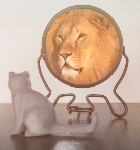 A white kitten sits staring at a tabletop mirror reflecting a lion's face.